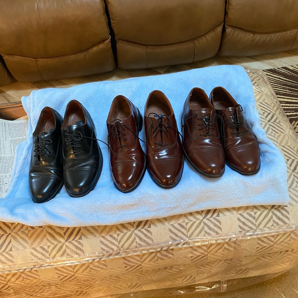 Bostonian Classic Black and Brown Oxfords